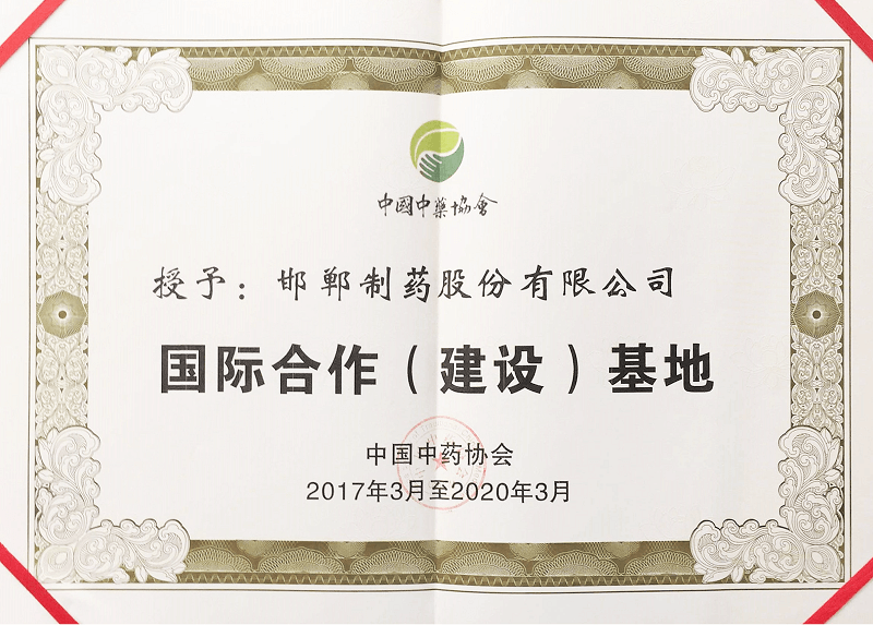2017國際合作（建設）基地